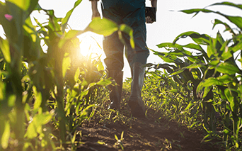 farmer walking through a field